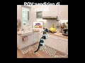 POV:sendirian di rumah#meme#kucing