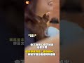 遭許舒博冷嗆「各自安好」！　鄭麗文聽記者提問反應曝｜#全民話燒