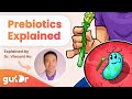 What are prebiotics  gutdr miniexplainer