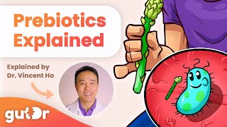 What Are Prebiotics | GutDr Mini-Explainer
