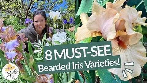 8 Stunning Bearded Iris Varieties | Turbow Farms Spring Tour 2025
