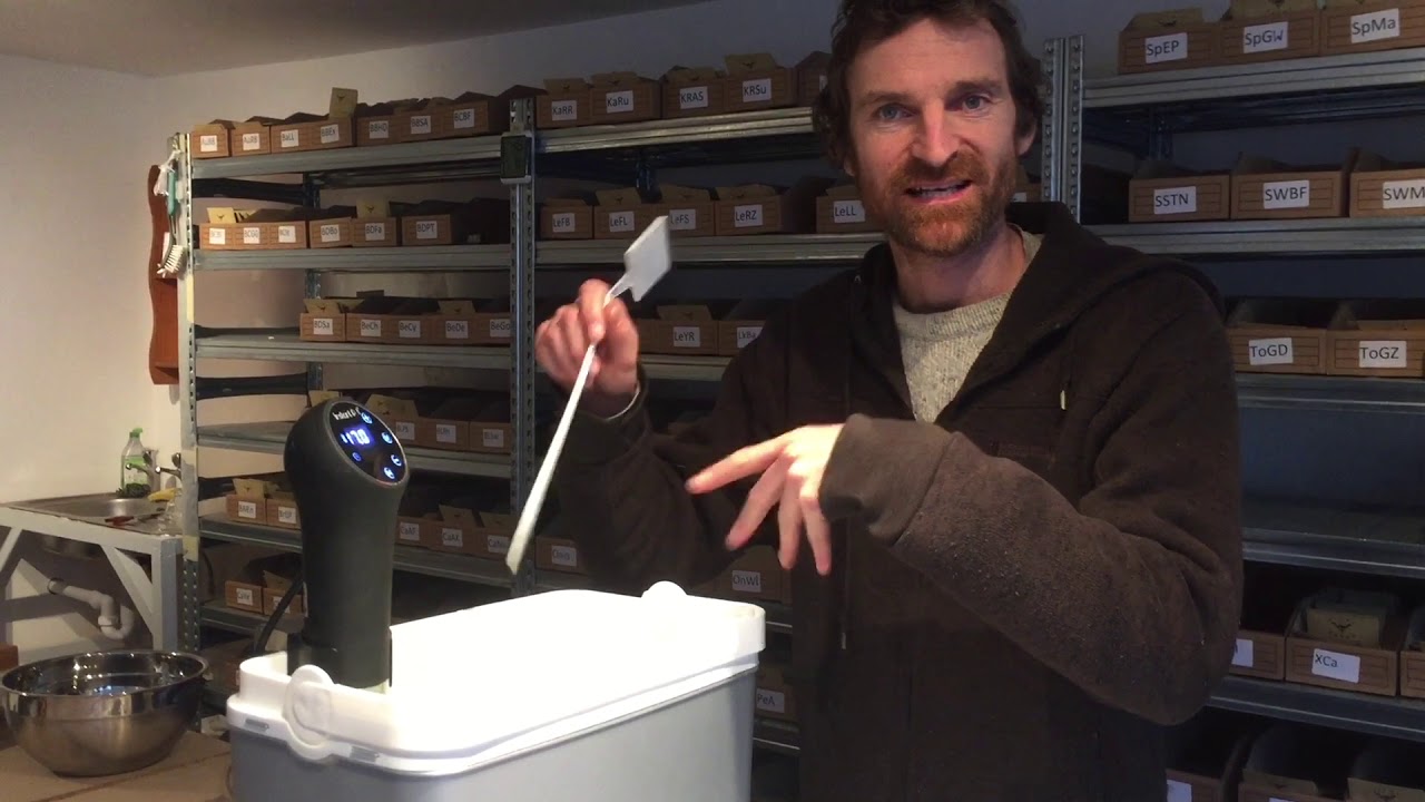 How to do a hot water treatment for small vegetable seeds YouTube