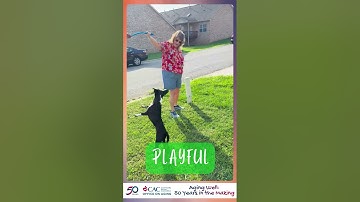 Knoxville Flips the Script on Aging