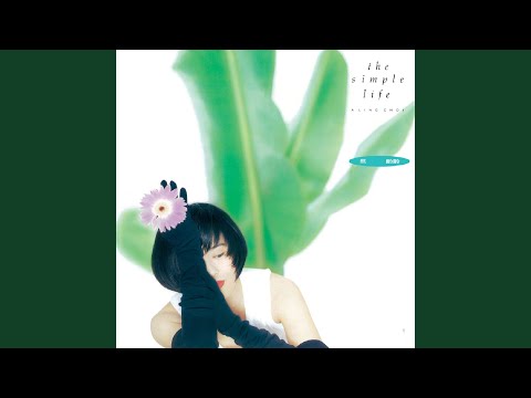 人生嘉年華