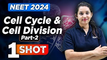 CELL CYCLE & CELL DIVISION in One Shot - All Theory, Tricks & PYQs Covered | NEET 2024