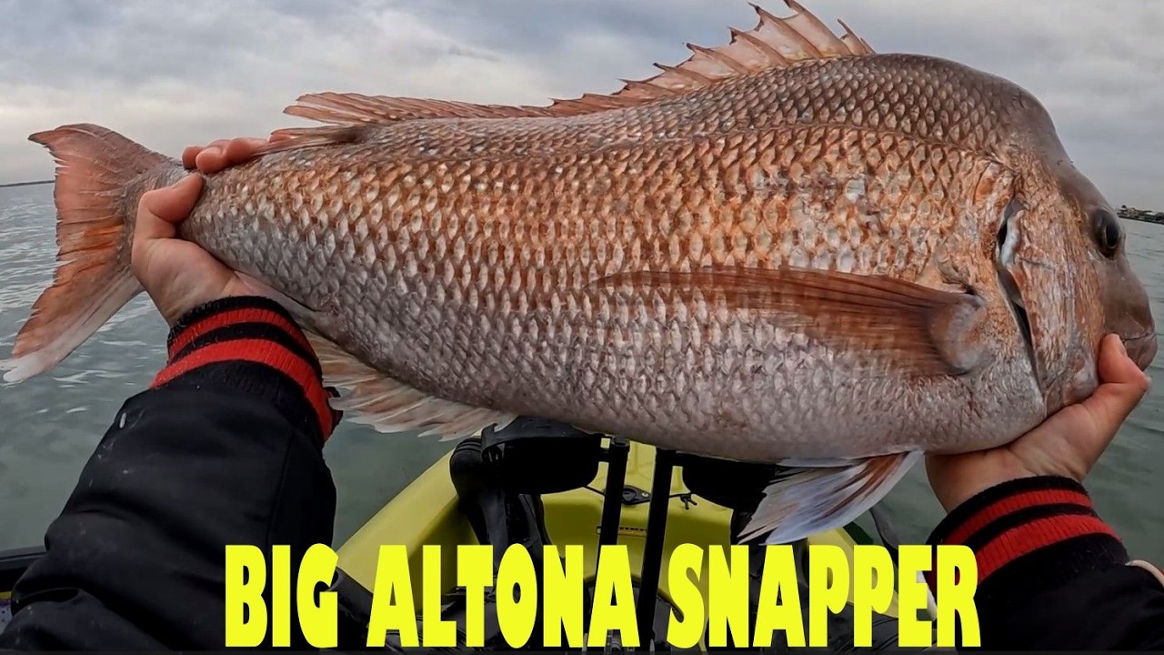 Рыбалка на люциана в Альтона-Бич с наживкой и мягким пластиком