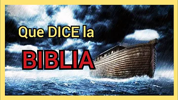 ¿Cuánto duraba un año en tiempos de Noé?