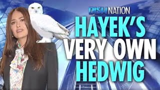 Salma Hayek Has A Pet Owl That Enjoys Expensive Wine