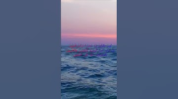سورة البقرة اية 180 - مع صوت البحر بصوت جميل - كُتِبَ عَلَيْكُمْ إِذَا حَضَرَ أَحَدَكُمُ