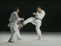 Tanaka masahiko kumite