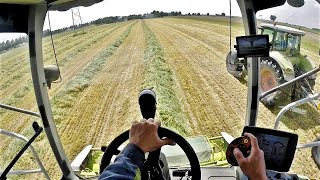 Cab View | Claas Jaguar 950 + Claas Pick-Up 300 | Ryegrass Silage