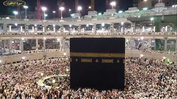 سورة المنافقون ياسر سلامة