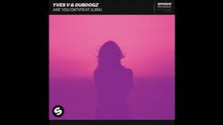 Yves V & Dubdogz Feat. ILIRA - Are You OK?