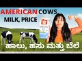 ಅಮೇರಿಕಾದ ಹಸು, ಹಾಲು  ಬಳಿಕೆ ಬೆಲೆ ಮತ್ತು ಪ್ರಯೋಜನೆ #America's #Cows, Types of #Milk, Price & Benefits