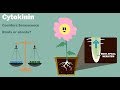 Plant Hormones and Their Functions