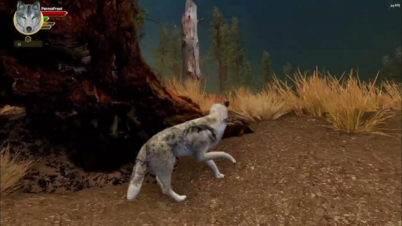 All The Dens And Their Locations In Lost River West Side Of The Map all-the-dens-and-their-locations-in-lost-river-west-side-of-the-map