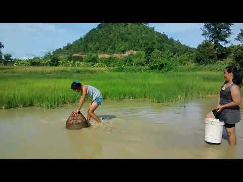 Amazing khmer fishing at salakroa district pailin Province(part24)