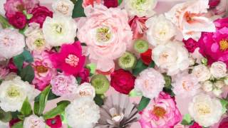 Wedding Save The Date | Stop Motion Video