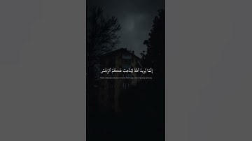 إِنَّمَا يُرِيدُ ٱللَّهُ لِيُذۡهِبَ عَنكُمُ ٱلرِّجۡسَ | كامل يوسف البهتيمي | سورة الاحزاب