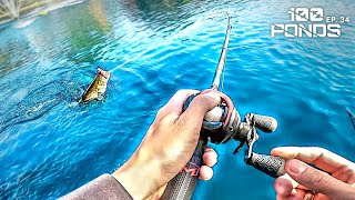 Fishing The BLUEST Pond I've Ever Seen! (100 Ponds Ep. 34)