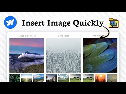 How to add image in Webflow (Simple Placement)