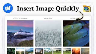 How to add image in Webflow (Simple Placement)