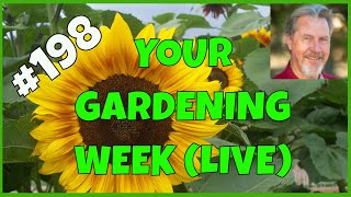 Why is Gardening So Hard? (Q&A)