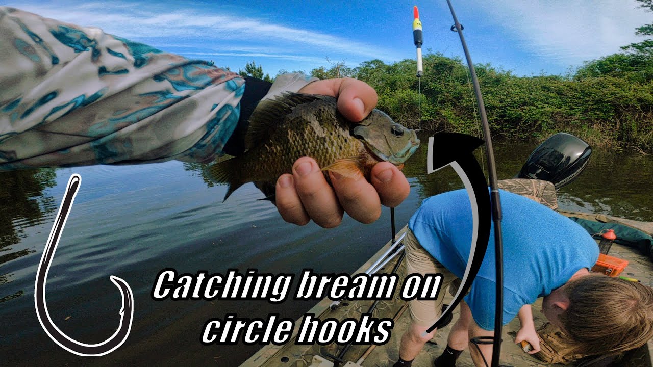 Bream fishing with circle hooks 