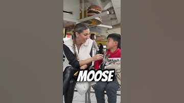 A moose ain’t it. Subscribe for more. #animals #shorts #comedy #kids #animaluplift #fyp