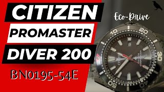 CITIZEN PROMASTER DIVER 200-BLACK, Eco-Drive Blackout REF: BN0195-54E