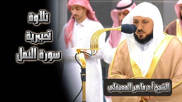 تلاوة تحبيرية و آسرة الشيخ أ.د #_ماهر_المعيقلي |  سورة النمل