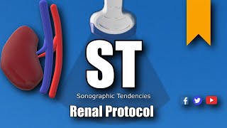 Renal Ultrasound Protocol