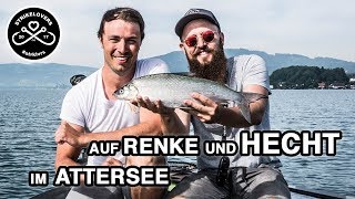 Renkenfischen (LIVEBISSE!) ️ am Attersee und Hechtfischen (METERHECHT!) #strklvrs