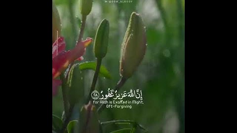 (أَلَمْ تَرَ أَنَّ اللَّهَ أَنزَلَ مِنَ السَّمَاءِ مَاءً) القارئ #ياسر_الدوسري سورة #فاطر 💙