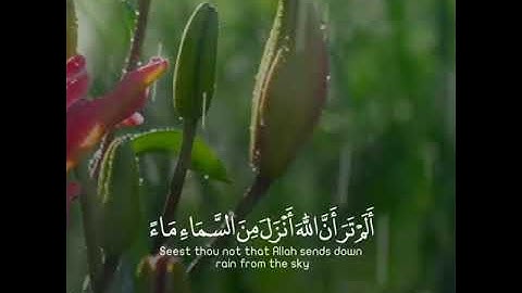 (أَلَمْ تَرَ أَنَّ اللَّهَ أَنزَلَ مِنَ السَّمَاءِ مَاءً) القارئ #ياسر_الدوسري سورة #فاطر 💙