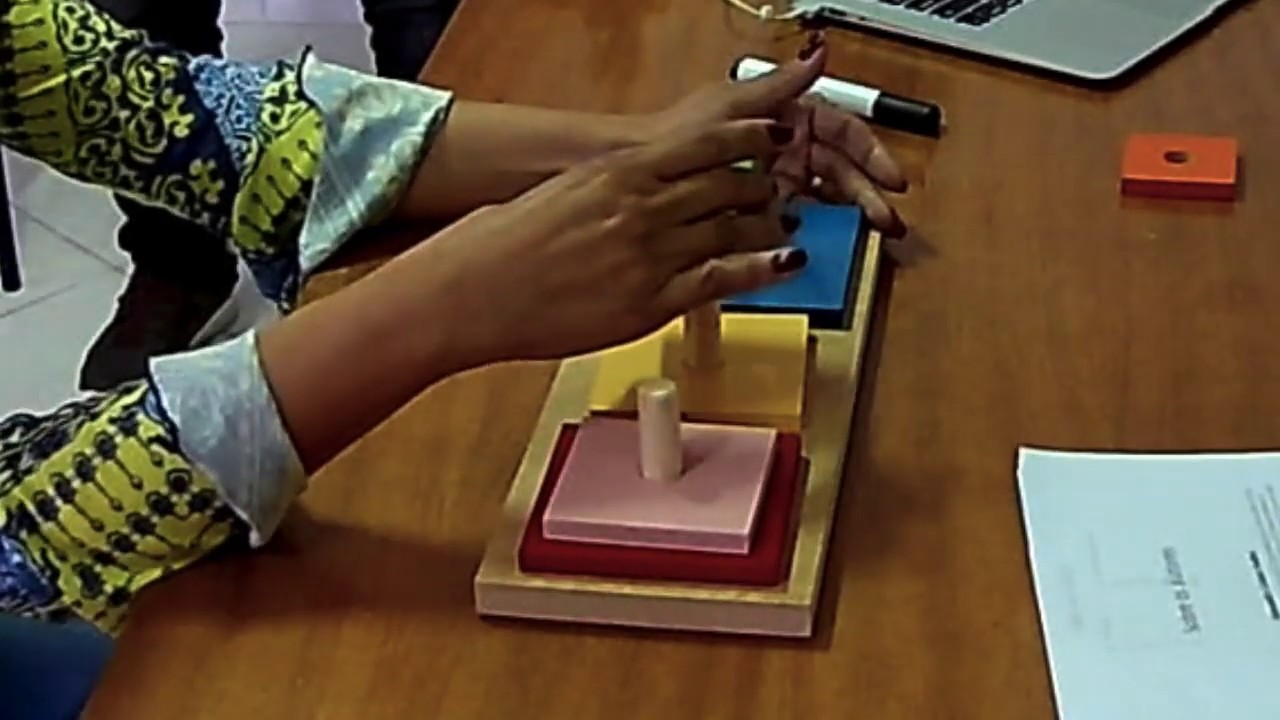 AULA DE LABORATÓRIO/NEUROPSICOLOGIA - INTERVENÇÃO NEUROPSICOLÓGICA COM O INSTRUMENTO TORRE DE HANÓI
