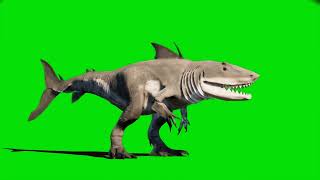 King shark megalodon dinosaur green screen - Part 3