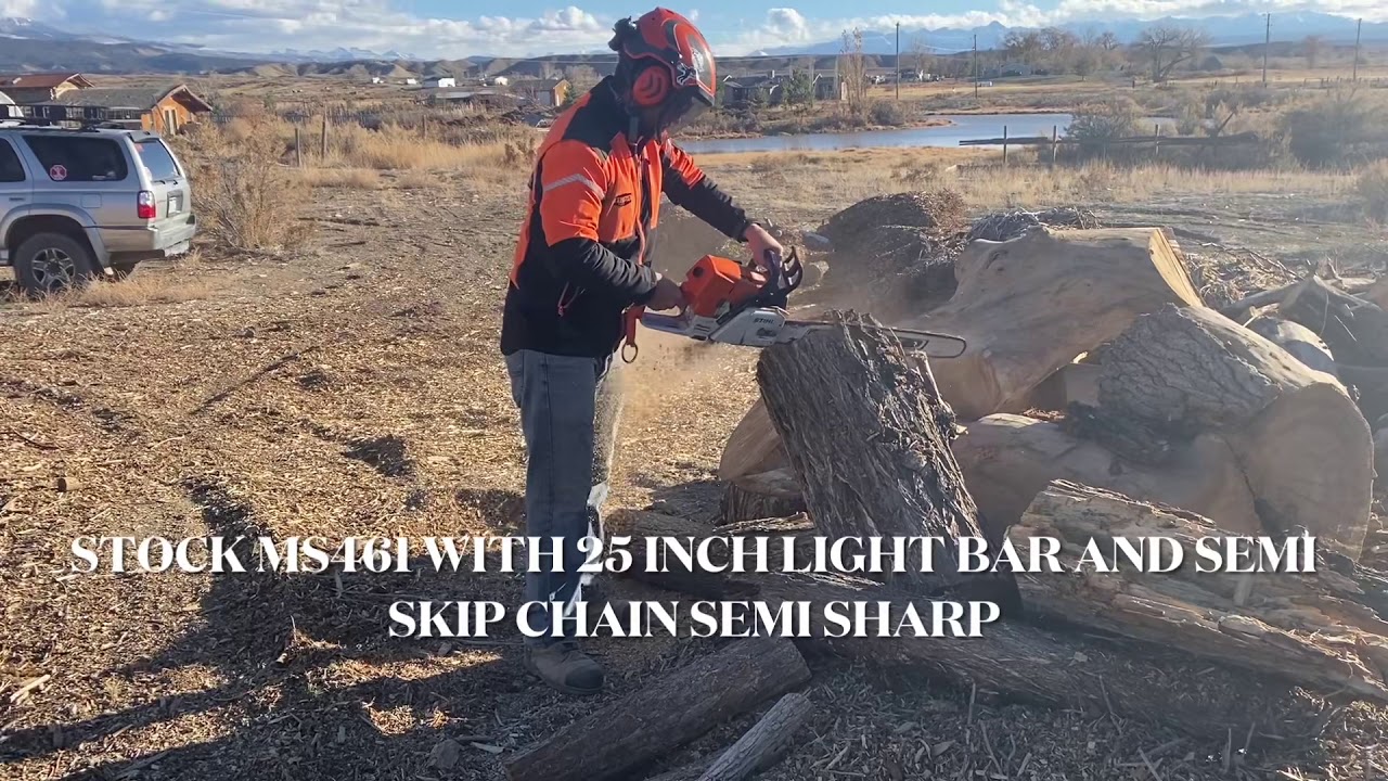 Ms461 Stock vs Barkbox with 25” skip 
