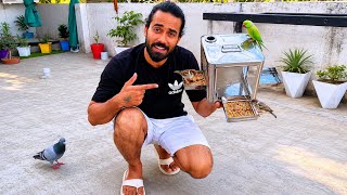 इस गर्मी पक्षियों की मदद करें 🐦 || Waste Tin Can Hack for Birds 🐦 | Amazing Bird Feeder DIY