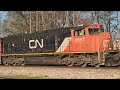 42224 cn train 396