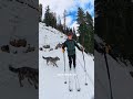 insta360 skii vibes in val di rabbi