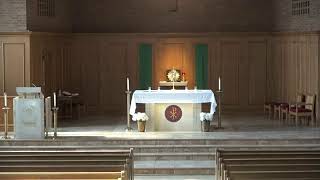 Weekday Mass Mon. thru Thurs 8:30 am August 11, 2026