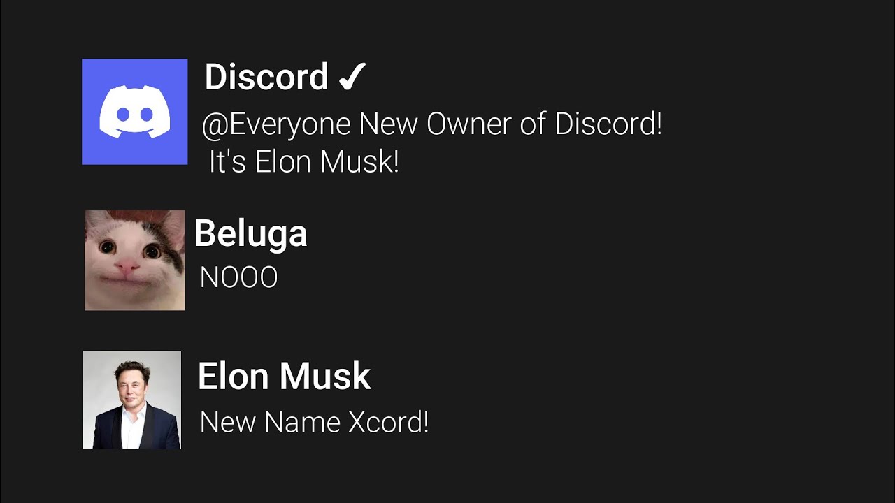 If Elon Musk Owned Discord #ElonMusk - YouTube