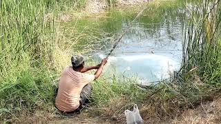 Amazing fishing in village pond || Best village fishing video