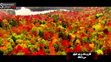 سورة الملك 1435 القارئ خالد الجليل TVSultan I