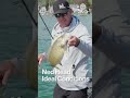 The ideal conditions for #fishing a Ned Head @StrikeKingLure #bassfishing #fishingvideo