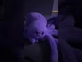 It's cute
