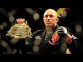 George “RUSH” St-Pierre      Highlights.        |The Champion|