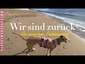 Unsere Auszeit…zurück an einen Lieblings Ort #vlog #vanlife #hunde #spanien #dethleffs #reisen