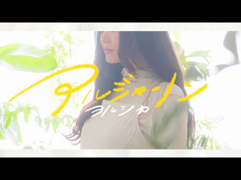 【歌ってみた】 アルジャーノン /  ヨルシカ【ドラマ 夕暮れに、手をつなぐ 主題歌】- アコースティック - Covered by THE MAPLE TREE